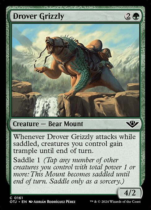 Drover Grizzly, Outlaws of Thunder Junction, Green, Common, , Creature, Bear Mount, Foil, NM